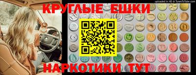 ешки Будённовск