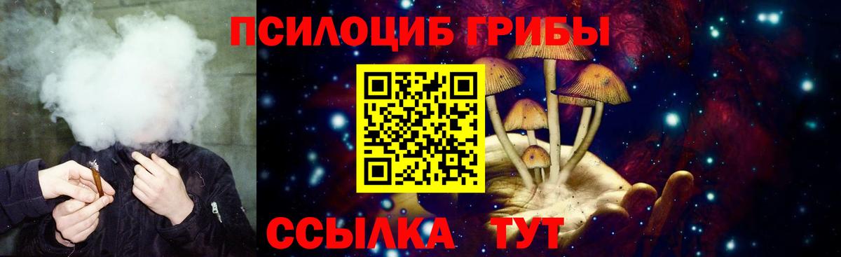 Галлюциногенные грибы Cubensis Лиски